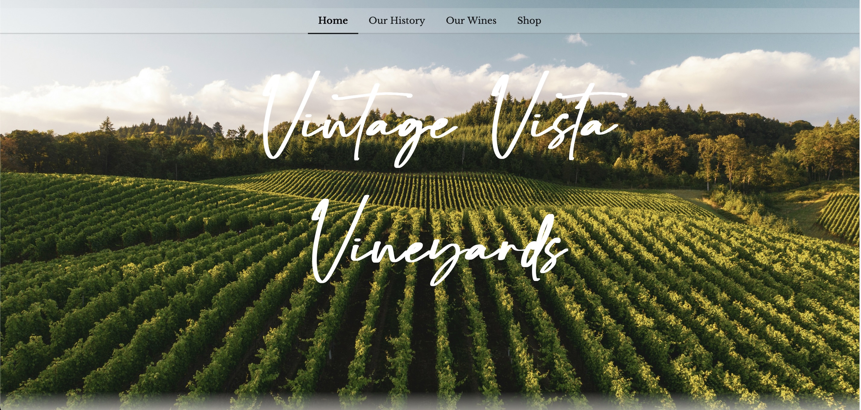 Vintage Vista Vineyards